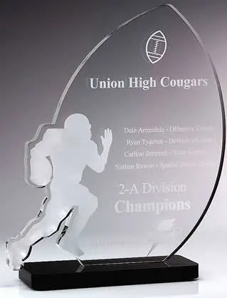 Customize Ad-210 Clear Laser Engraved Acrylic Hot Press Trophy Plaque
